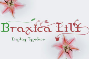 Braxica Lily Font for Handmade Creativity