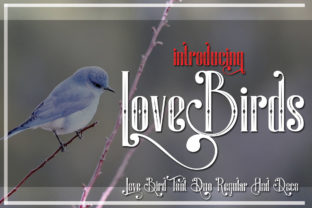 LoveBirds: A Romantic Display Font for Handmade Creators
